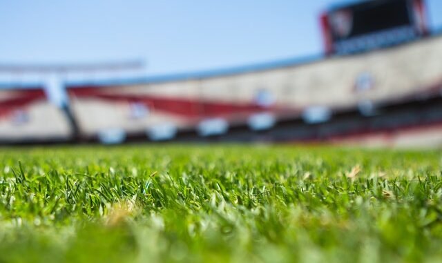 86041-field-stadium-soccer-argentina-61143-2